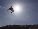 Rakouská snowboardistka Anna Gasserová pi finálové jízd slopestylu na...