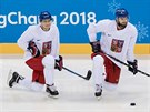 Tomá Mertl a Roman Horák pi tréninku eských hokejist v jihokorejském...