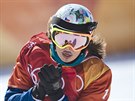 V CÍLI. eská snowboardcrossaka Eva Samková v cíli olympijské finálové jízdy....