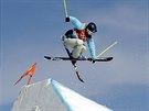 výcarka Sarah Höfflinová ovládla na olympijských hrách lyaský slopestyle....