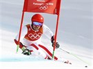 Rakouský lya Marcel Hirscher pi první jízd olympijského obího slalomu....
