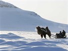 ZIMNÍ SAHARA. San pastý, kteí cestují po snhem pokryté stepi na jihu...