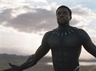 Z filmu Black Panther