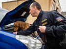 Policejn pes prohledv auto. (9. 2. 2018)