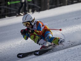 E BY BUDOUCÍ OLYMPIONIK? Lyaské areály v okolí festivalových mst poskytují...