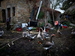 Francouzský farmá Jean-Bernard Huon se svou spolenicí Laurence zavrhl moderní...