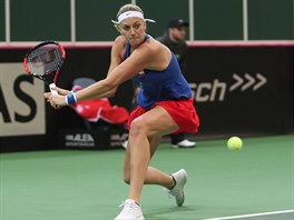 Petra Kvitov bojuje v nedln dvouhe 1. kola Fed Cupu proti vcarsku.