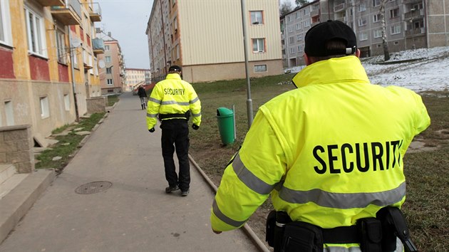 Divok prasata uprosted bukovanskho sdlit vzbudila v obci podn rozruch. Pracovnci ochranky pro jistotu doprovzej dti na cest ze koly. Pestoe myslivci v okol obce nkolik kus ern zve odstelili, nebezpe dl trv.