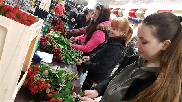 Valentn ve skladu Florea.cz