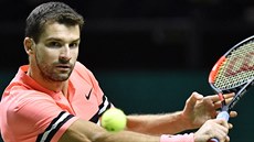PORAENÝ. Bulharský tenista Grigor Dimitrov ve finále turnaje v Rotterdamu...