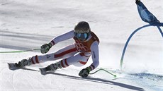 Rakouská lyaka Anna Veithová  na trati olympijského superobího slalomu.