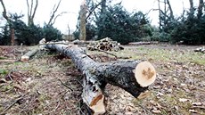 Zámek a park Slatiany. 15. 2. 2018