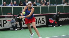 Petra Kvitová bojuje v nedlní dvouhe 1. kola Fed Cupu proti výcarsku.