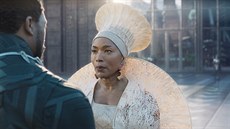 Z filmu Black Panther
