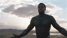 Z filmu Black Panther