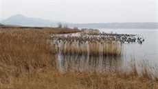 Pohled na Jezero Most a jeho okolí (únor 2018)