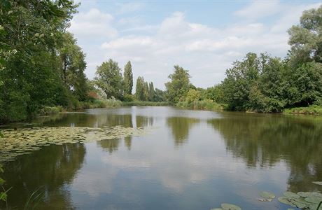 Plavecké jezero, vyfotografované od jihu z hráze Strakova jezera. Toto jezero...