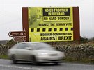 Billboard proti zavedení tvrdé hranice mezi Irskem a Severním Irskem (30. ledna...