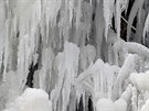 Jasan v sevření ledu v areálu výletní restaurace ve Svatošských skalách. Voda z...