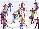 Biatlonový závodu ve smíené tafet v jihokorejském stedisku Alpensia. (20....