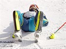 VÍEZ. védský lya André Myhrer po finálové jízd olympijského slalomu. (22....