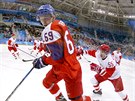 eský hokejista Luká Radil v olympijském semifinále proti Rusku. (23. února...