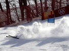 Germany's Alexander Schmid crashes during the first run of the men's giant...