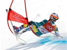 Alpine Skiing - Pyeongchang 2018 Winter Olympics - Men's Giant Slalom -...
