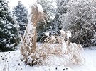 Sníh je ideální ochrana rostlin ped mrazem. Kde jsou holomrazy, musí pomoci...