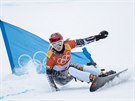 Ester Ledecká bhem kvalifikaní jízdy obího slalomu na olympijských hrách.