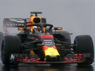 Daniel Ricciardo ze  stáje Red Bull pi testech na okruhu u Barcelony
