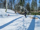 Dky snnmu dlu je v parku uprosted Hradce Krlov snh (22.2.2018).