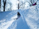 Díky snnému dlu je v parku uprosted Hradce Králové sníh (22.2.2018).