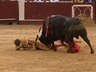 Kolumbijský býk nabral na rohy panlského toreadora