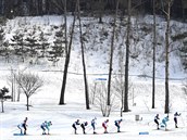 Bci na lych v olympijskm zvodu na 50 km. (24. nora 2018)