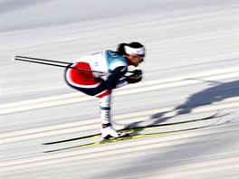 Norsk bkyn Marit Bjrgenov v ele olympijskho zvodu na 30 km. (25. nora...