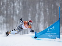 Ester Ledecká bhem kvalifikaní jízdy obího slalomu na olympijských hrách.