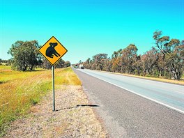 Nejdelí silnicí je Highway I v Austrálii