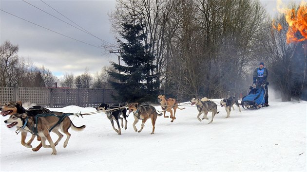 Zvody psch speen Eduardv Mid v Albertamech na Karlovarsku. Na snmku musher Ji Sochor projd kolem kontrolnho stanovit s ohnm (24. nora 2018).