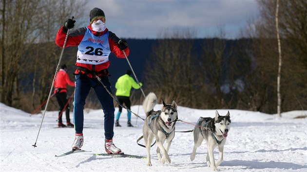 Zvody psch speen Eduardv Mid v Albertamech na Karlovarsku. Na snmku musher Petr Vt (24. nora 2018).