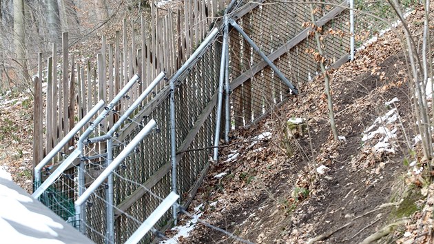 Vlice pi tku musela pekonat ti metry vysok oplocen vbhu s elektrickm ohradnkem a pot i dvoumetrov plot zoologick zahrady.