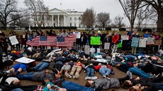 Protest za omezení dostupnosti stelných zbraní ped Bílým domem (21. února...
