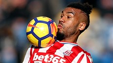 Maxim Choupo-Moting ze Stoke se snaí zkrotit mí.