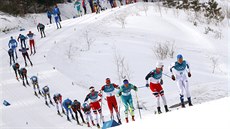 Bci na lyích v olympijském závodu na 50 km. V ele s íslem 8 jede Fin Iivo...