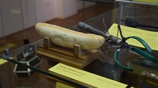 Drák na rohlíky je jedním z unikátních kousk, které zaslali diváci eské...