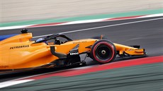 Fernando Alonso s McLarenem pi testování ped sezonou formule 1 na okruhu v...