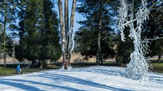 Díky snnému dlu je v parku uprosted Hradce Králové sníh (22.2.2018).