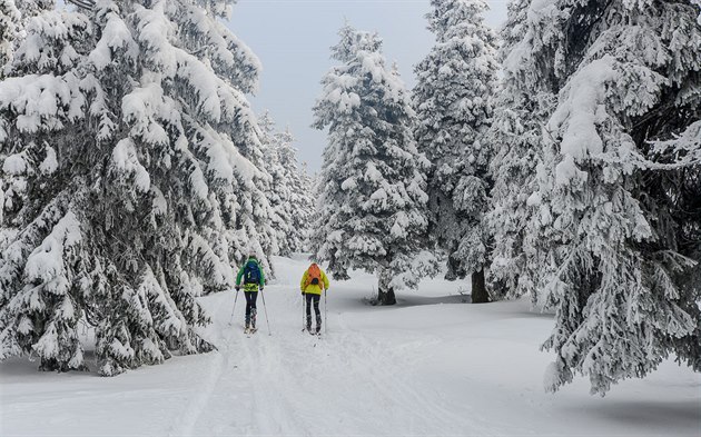 Trasa pes Malý Jezerník a Výrovku je oblíbená mezi skialpinisty.