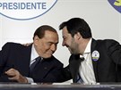 Lídr italské strany Vzhůru, Itálie Silvio Berlusconi na tiskové konferenci s...
