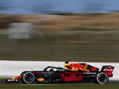 Daniel Ricciardo pi pedsezonních testech v Barcelon.